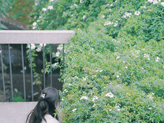-四川大学(望江校区)