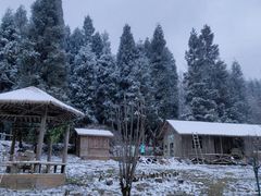 -武陵山森林公园