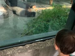 -无锡动物园·太湖欢乐园