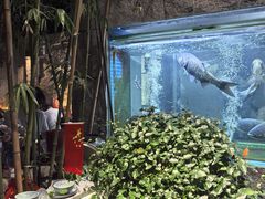 -又见炊烟私房菜(敬亭路店)