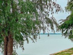 -蟹天蟹地农家菜·阳澄湖大闸蟹(浅水湾店)