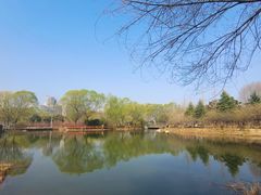 -郑州植物园