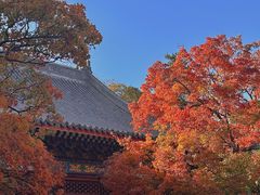 -香山公园
