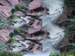 -广州白江湖森林公园