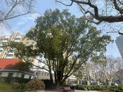 -徐家汇源景区-衡山公园