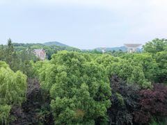 -上海佘山世茂艾美酒店