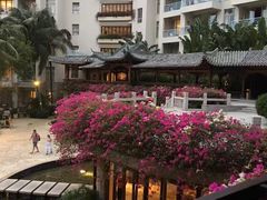 -三亚亚龙湾雅高美爵酒店