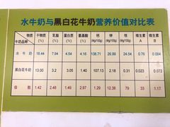 -老周记顺德双皮奶