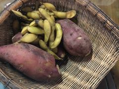 -迈臣农家乐