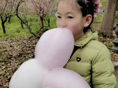 -南汇桃花村