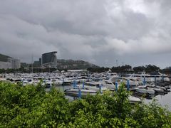 -大梅沙海滨公园