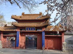 -桃花堤公园