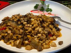 -陈麻婆豆腐总店