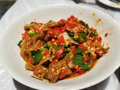 -壹盏灯(惠农店)