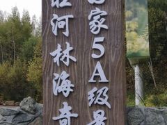 -汤旺河林海奇石景区