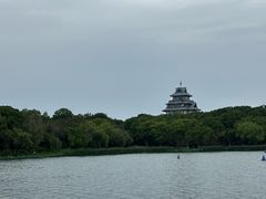 -金鸡湖桃花岛