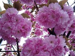 -新隆嘉供销超市(青岛瑞昌路店)