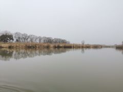 -长兴太湖图影湿地文化园