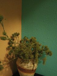 -香秀空间科技抗衰·美容中心