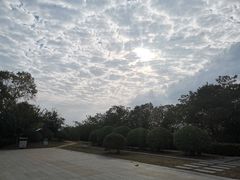 -羊山湖公园