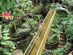 -正佳雨林生态植物园