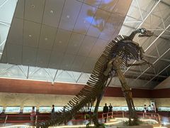 -诸城市恐龙博物馆