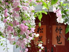 -深圳国际园林花卉博览园