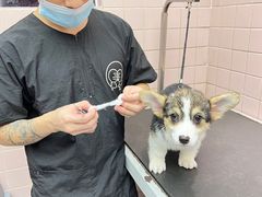 -FAELING PETS美天灵宠物(富力广场店)