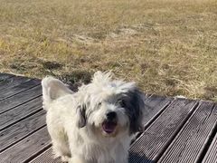 -呼和诺尔旅游景区