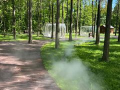 -黄海国家森林公园