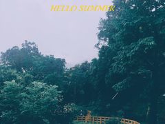 -阳台山森林公园