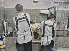 -宠物家(大兴旧宫店)