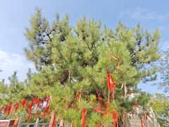 -终南山南五台景区