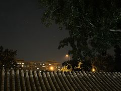 -Sirena海妖日咖夜酒