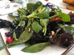 穿心莲-东海酒店
