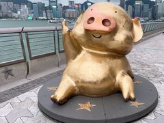 -星光大道