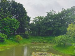 -东莞植物园