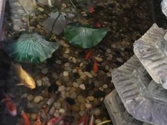 -碧露轩·大益茶体验馆(镇江路店)