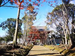 -醍醐寺