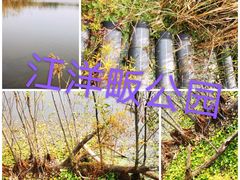 -西湖风景区-江洋畈生态公园