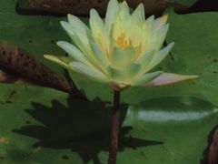 -白鹭湾湿地公园