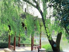 -北坞公园