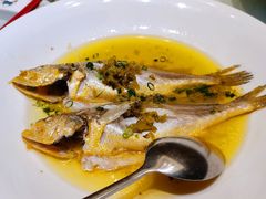 -骏莱海鲜鱼港(五角场店)