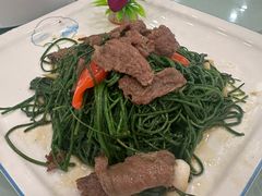 沙葱炒鲜牛肉-螺涌海鲜酒楼(增槎路店)