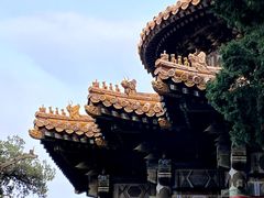 -故宫博物院(故宫)
