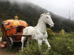 -广州市石门国家森林公园