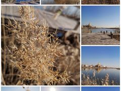 -天津东丽湖风景区