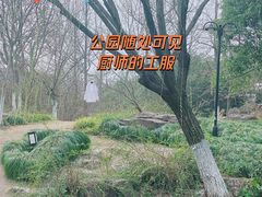 -日出青木·杭帮菜名店
