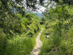 -秦岭终南山世界地质公园翠华山景区