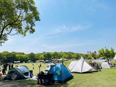 -上海吴淞炮台湾国家湿地公园